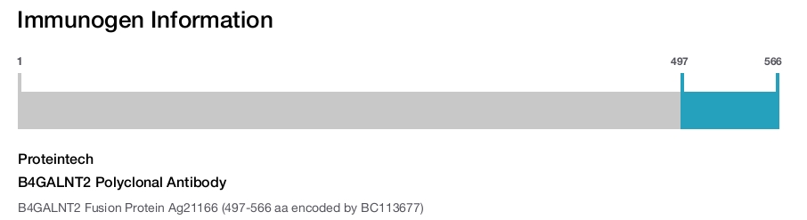 B4GALNT2 Polyclonal Antibody
