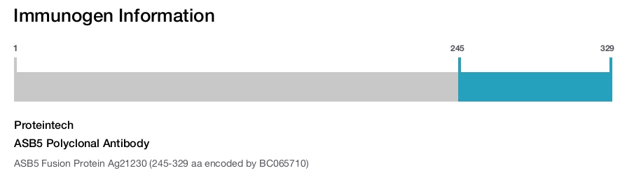 ASB5 Polyclonal Antibody