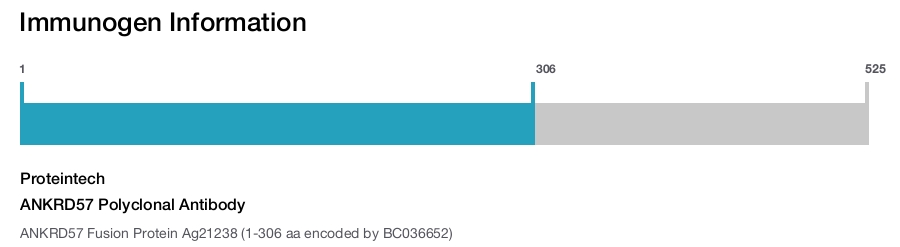 ANKRD57 Polyclonal Antibody