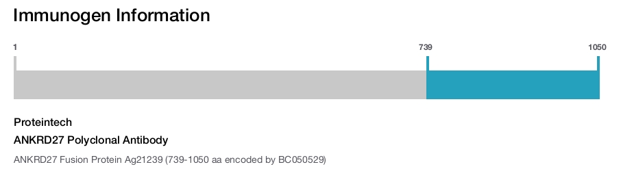 ANKRD27 Polyclonal Antibody
