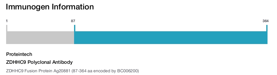 ZDHHC9 Polyclonal Antibody