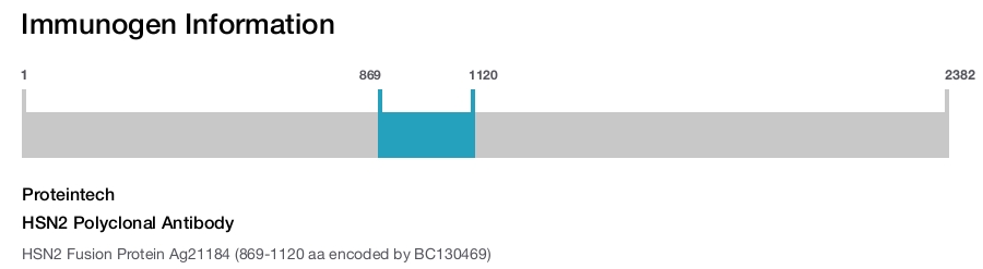 HSN2 Polyclonal Antibody