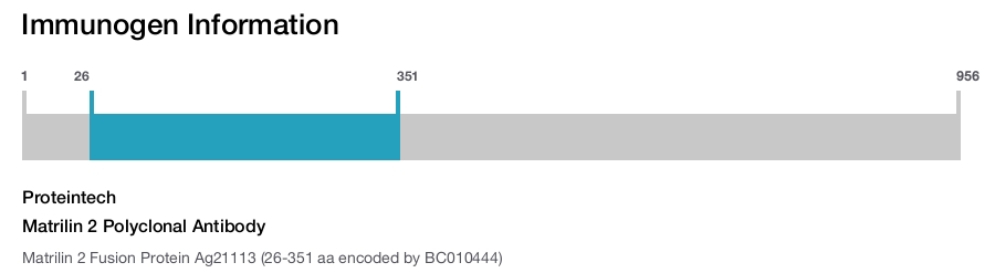 Matrilin 2 Polyclonal Antibody
