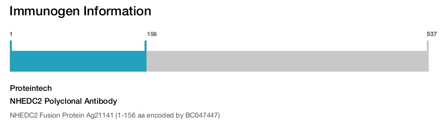 NHEDC2 Polyclonal Antibody