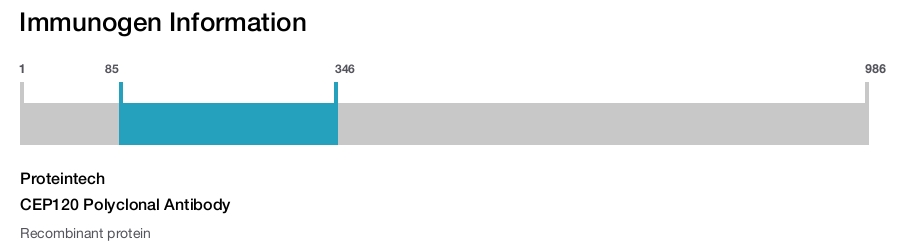 CEP120 Polyclonal Antibody