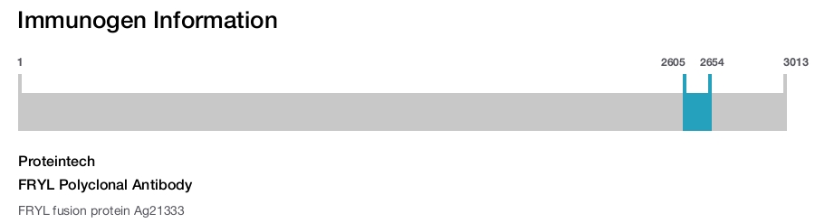 FRYL Polyclonal Antibody