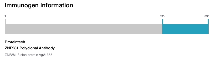 ZNF281 Polyclonal Antibody