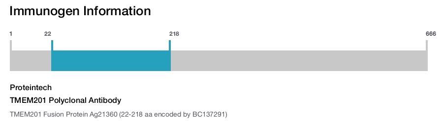 TMEM201 Polyclonal Antibody