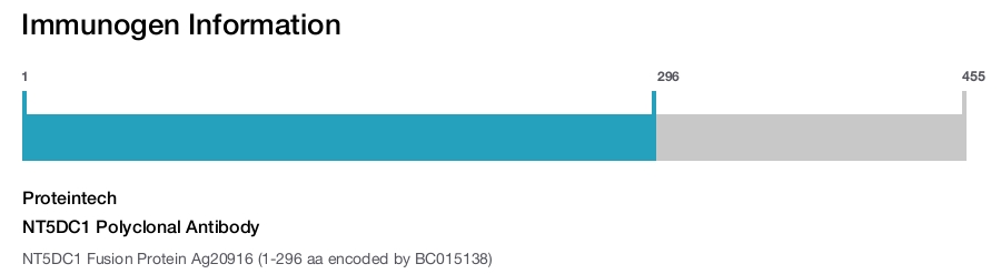 NT5DC1 Polyclonal Antibody