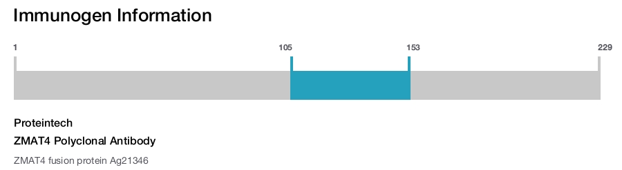 ZMAT4 Polyclonal Antibody