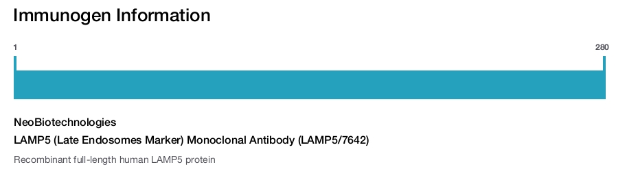 LAMP5 (Late Endosomes Marker) Monoclonal Antibody (LAMP5/7642)
