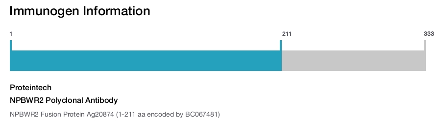 NPBWR2 Polyclonal Antibody