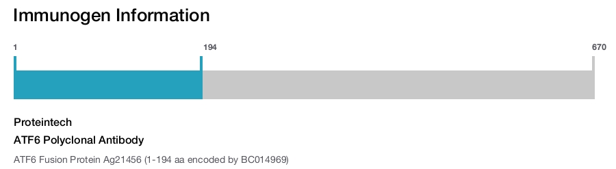 ATF6 Polyclonal Antibody