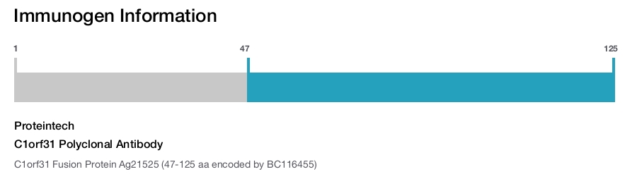 C1orf31 Polyclonal Antibody