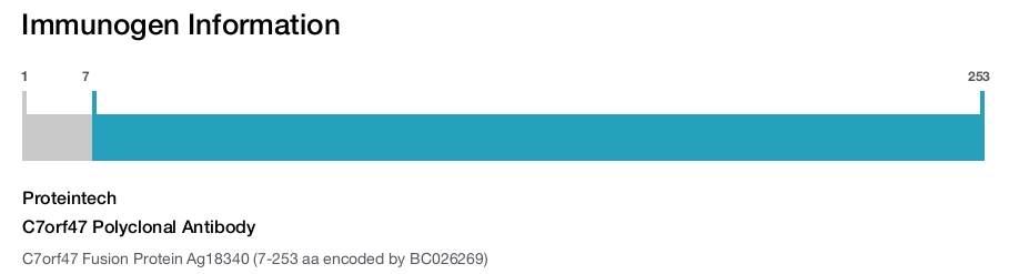 C7orf47 Polyclonal Antibody
