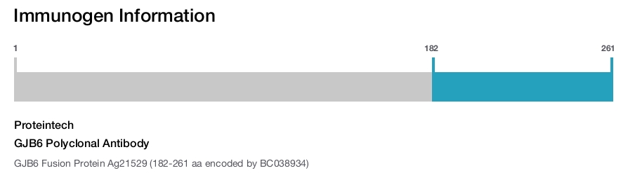 GJB6 Polyclonal Antibody