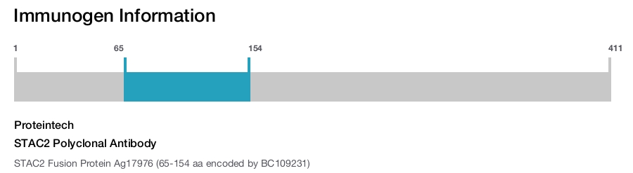 STAC2 Polyclonal Antibody