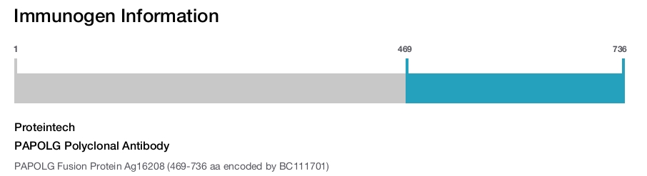 PAPOLG Polyclonal Antibody