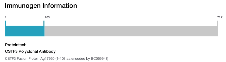 CSTF3 Polyclonal Antibody