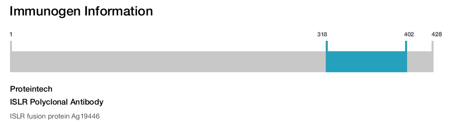 ISLR Polyclonal Antibody