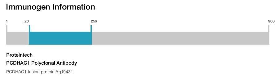 PCDHAC1 Polyclonal Antibody