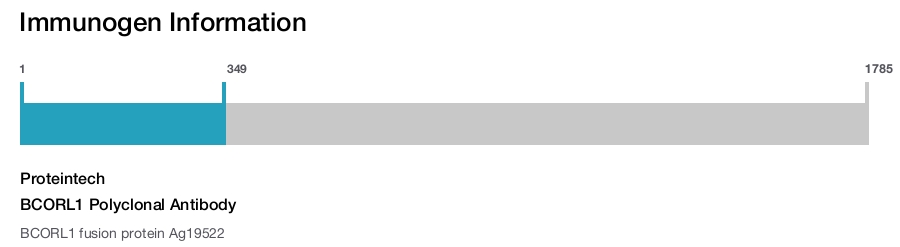 BCORL1 Polyclonal Antibody