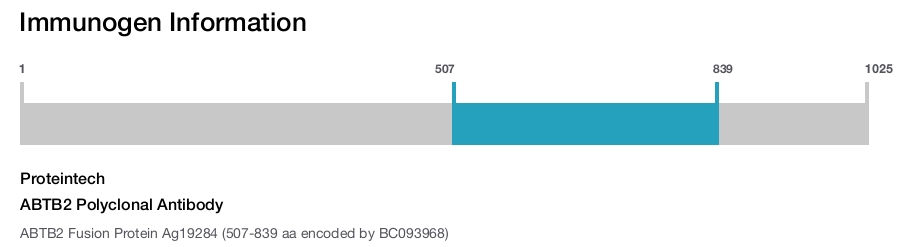 ABTB2 Polyclonal Antibody