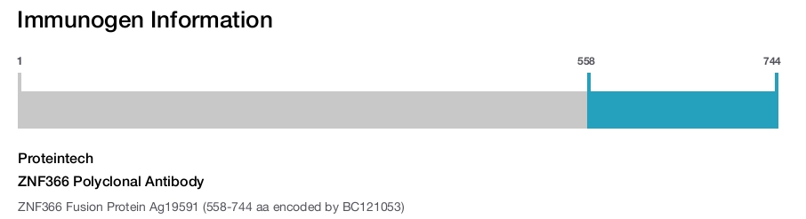 ZNF366 Polyclonal Antibody
