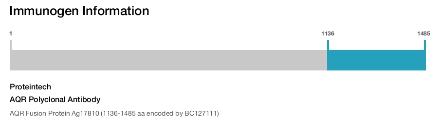 AQR Polyclonal Antibody