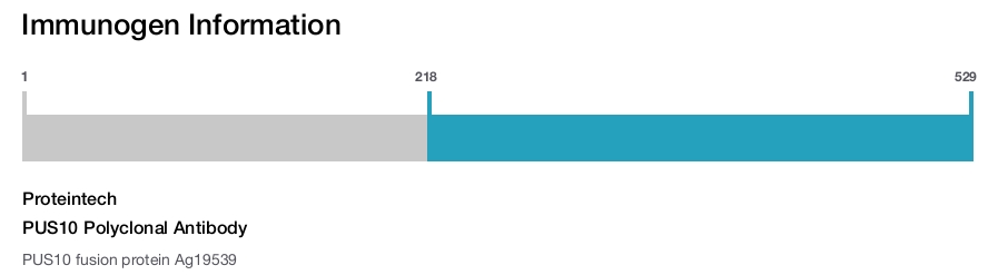 PUS10 Polyclonal Antibody