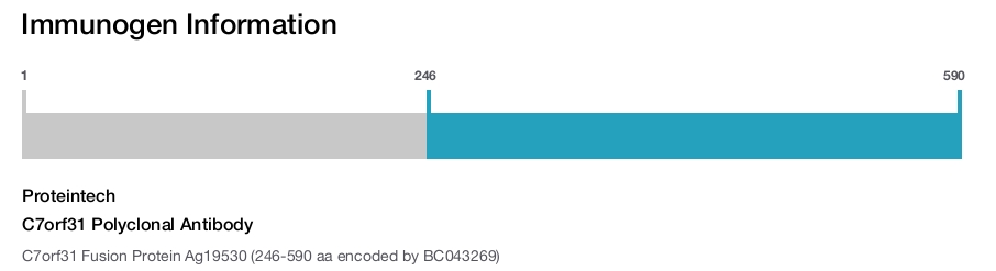 C7orf31 Polyclonal Antibody