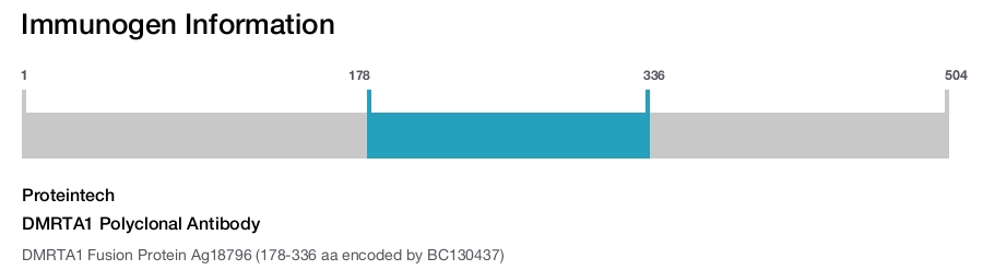 DMRTA1 Polyclonal Antibody