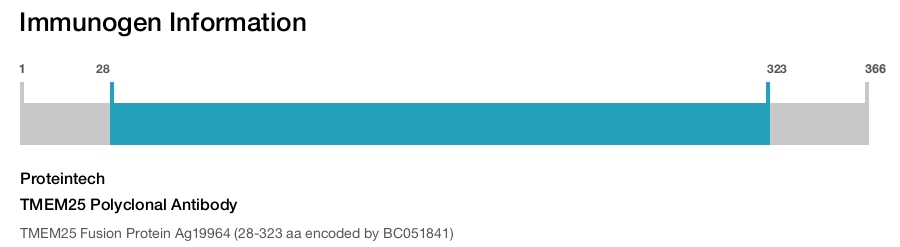 TMEM25 Polyclonal Antibody