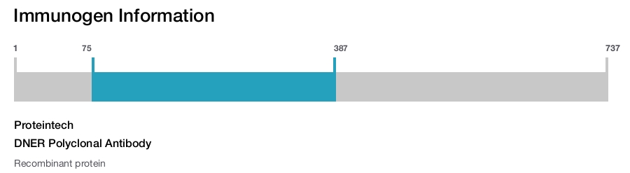 DNER Polyclonal Antibody