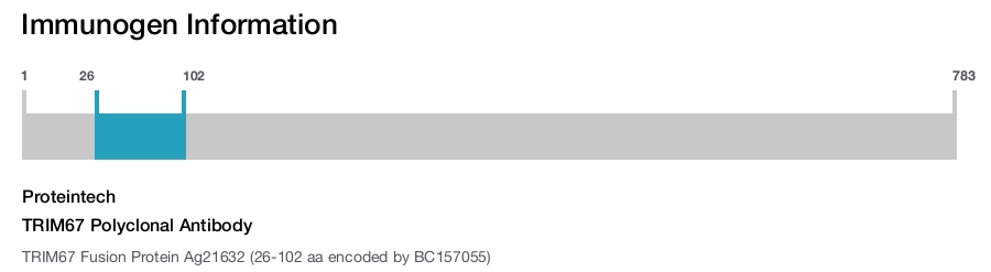 TRIM67 Polyclonal Antibody