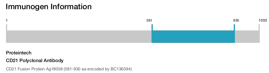 CD21 Polyclonal Antibody