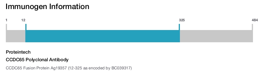 CCDC65 Polyclonal Antibody