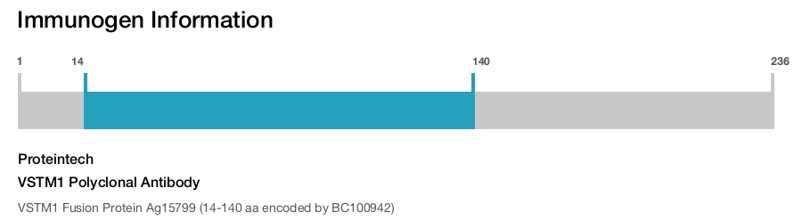 VSTM1 Polyclonal Antibody