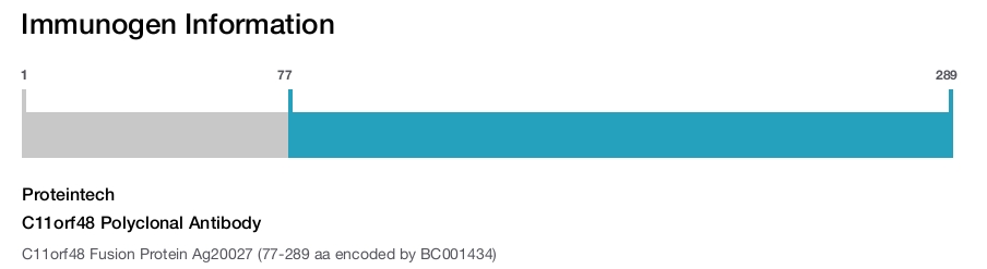 C11orf48 Polyclonal Antibody