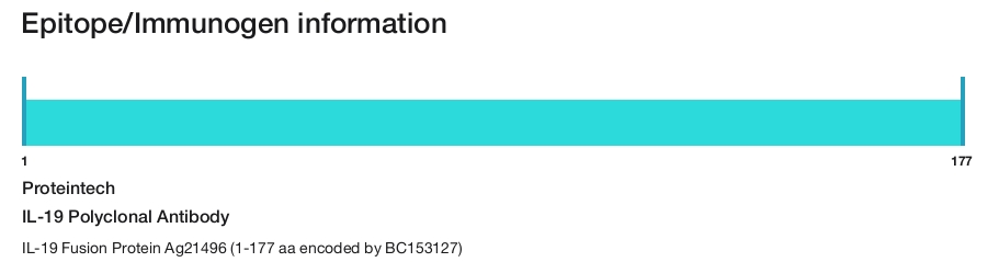IL-19 Polyclonal Antibody