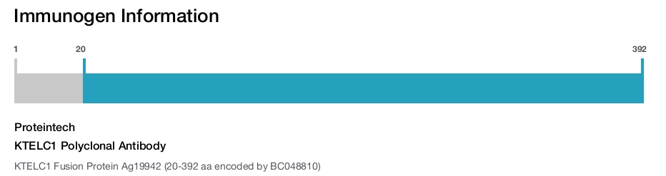 KTELC1 Polyclonal Antibody
