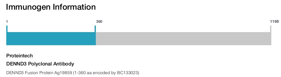 DENND3 Polyclonal Antibody