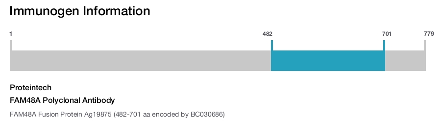 FAM48A Polyclonal Antibody
