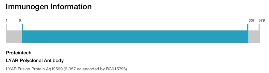 LYAR Polyclonal Antibody