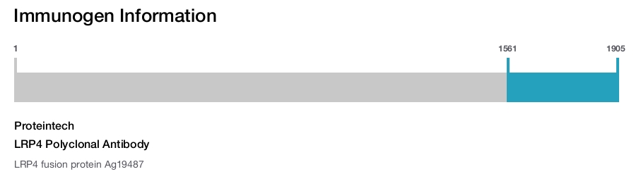 LRP4 Polyclonal Antibody