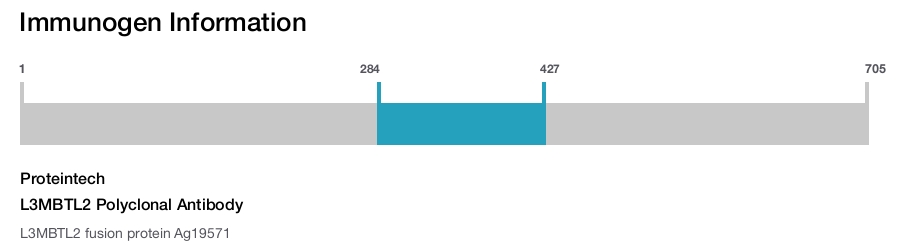 L3MBTL2 Polyclonal Antibody