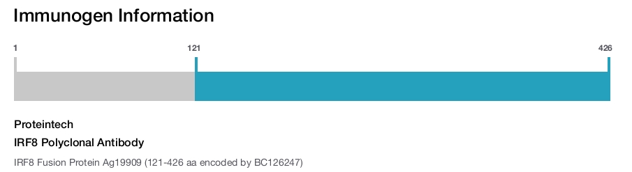 IRF8 Polyclonal Antibody