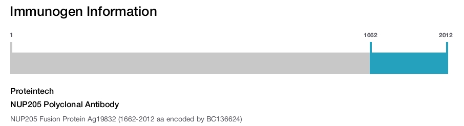 NUP205 Polyclonal Antibody