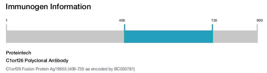C1orf26 Polyclonal Antibody