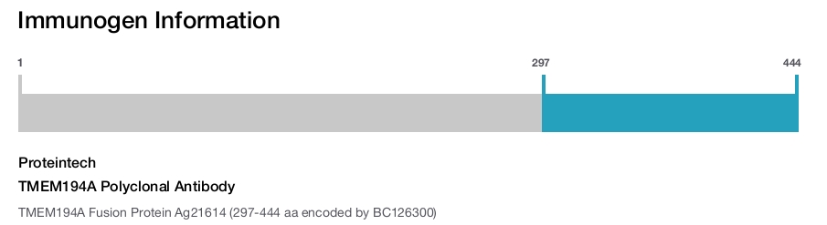 TMEM194A Polyclonal Antibody
